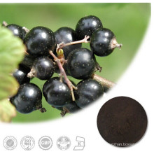 Blackcurrant Extract Cyanidin Powder (XT-FL138)